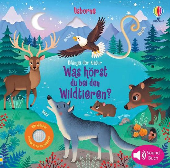 Cover for Sam Taplin · Klänge der Natur: Was hörst du bei den Wildtieren? (Board book) (2021)