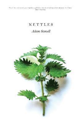 Cover for Adam Scovell · Nettles (Paperback Book) (2022)