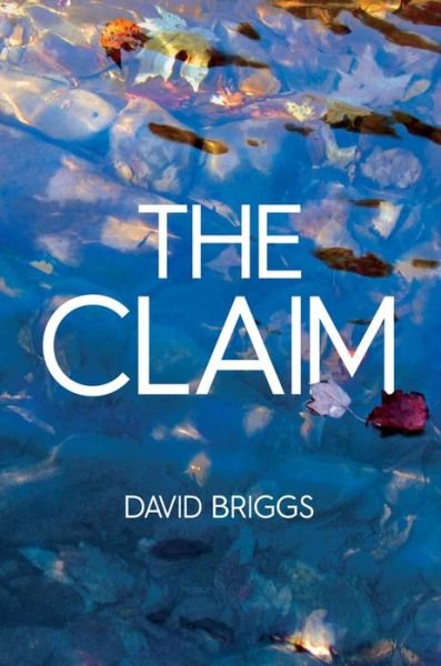 The Claim - David Briggs - Livros - RedDoor Press - 9781910453735 - 11 de julho de 2019
