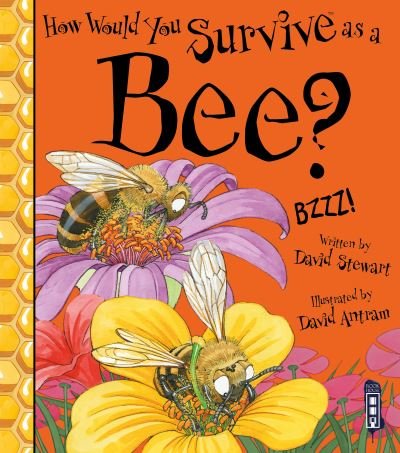 Cover for David Stewart · How Would You Survive As A Bee? - How Would You Survive As A...? (Paperback Book) [Illustrated edition] (2020)