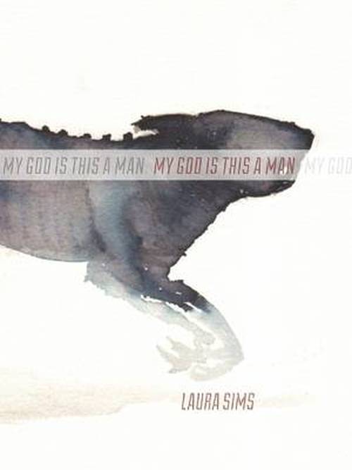 Cover for Laura Sims · My God is This a Man (Paperback Book) (2014)