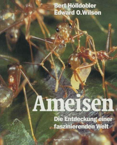 Cover for Bert Hoelldobler · Ameisen: Die Entdeckung Einer Faszinierenden Welt (Paperback Book) [Softcover Reprint of the Original 1st 1995 edition] (2014)