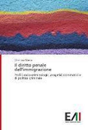 Cover for Maisto · Il diritto penale dell'immigrazi (Book)