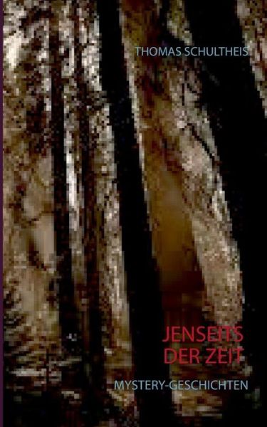 Cover for Thomas Schultheis · Jenseits Der Zeit (Paperback Book) [German edition] (2014)