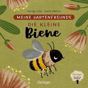 Cover for Carla Häfner · Meine Gartenfreunde. Die kleine Biene (Board book) (2022)