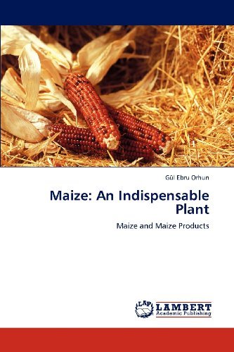 Cover for Gül Ebru Orhun · Maize: an Indispensable Plant: Maize and Maize Products (Paperback Book) (2012)