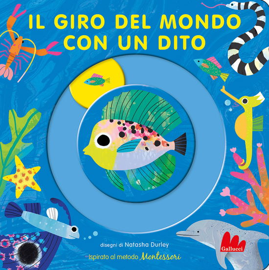 Cover for Natasha Durley · Il Giro Del Mondo Con Un Dito. Ediz. A Colori (Book)