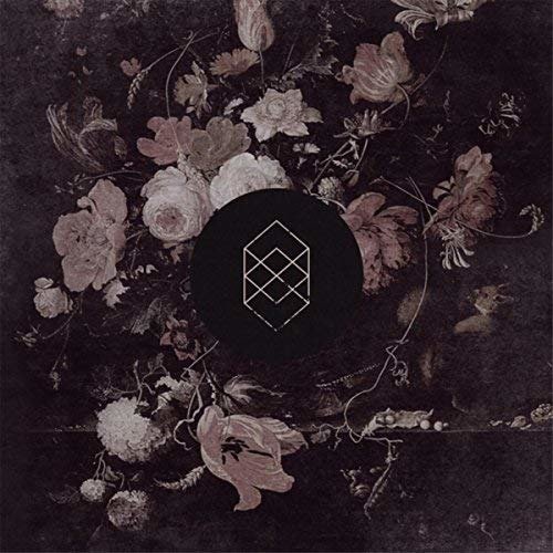Cover for Kokomo · Monochrome Noise Love (LP) (2018)