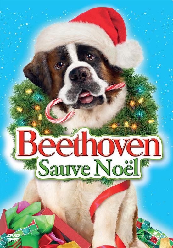 Cover for Beethoven Sauve Noel (DVD)