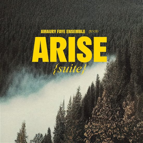 Cover for Amaury -Ensemble- Faye · Arise (suite) (CD) (2023)