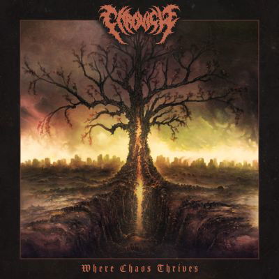 Cover for Chronicle · Where Chaos Thrives (CD) (2023)