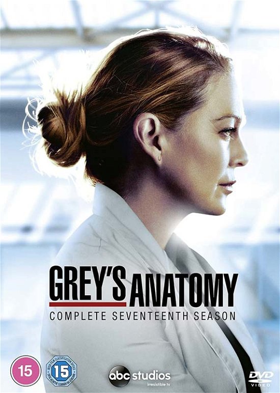 Cover for Greys Anatomy - Season 17 · Greys Anatomy Season 17 (DVD) (2021)