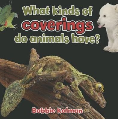 Cover for Bobbie Kalman · What Kinds of Coverings Do Animals Have - Animals Close-Up (Paperback Book) (2015)