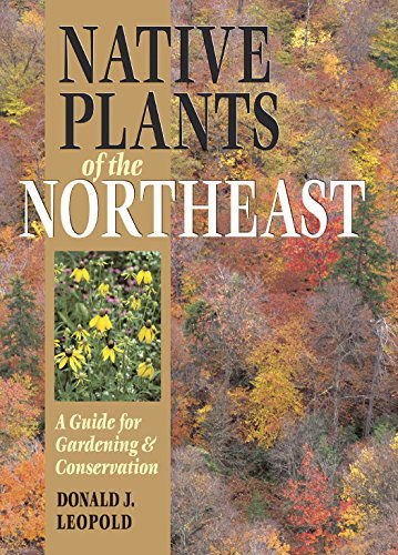 Native Plants of the Northeast: a Guide for Gardening & Conservation - Donald J. Leopold - Książki - Timber Press - 9780881926736 - 8 lutego 2005