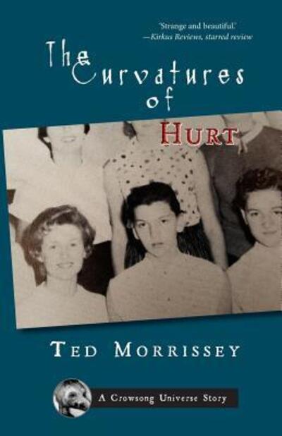 The Curvatures of Hurt - Ted Morrissey - Books - Twelve Winters Press - 9780998705736 - March 27, 2018
