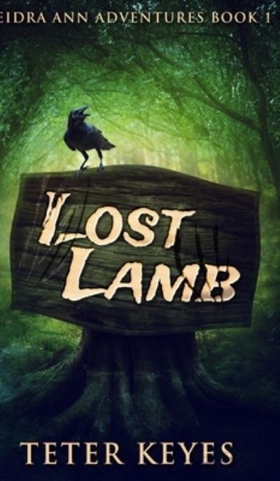 Cover for Teter Keyes · Lost Lamb (Deidra Ann Adventures Book 1) (Hardcover Book) (2021)