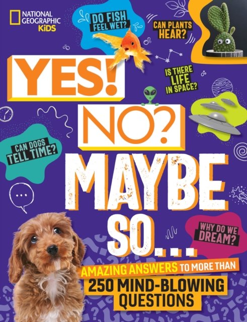 Julie Beer · Yes! No? Maybe So...: Amazing Answers to More Than 250 Mind-Blowing Questions (Hardcover Book) (2024)