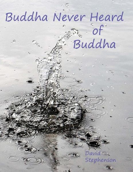 Cover for David Stephenson · Buddha Never Heard of Buddha (Paperback Book) (2014)