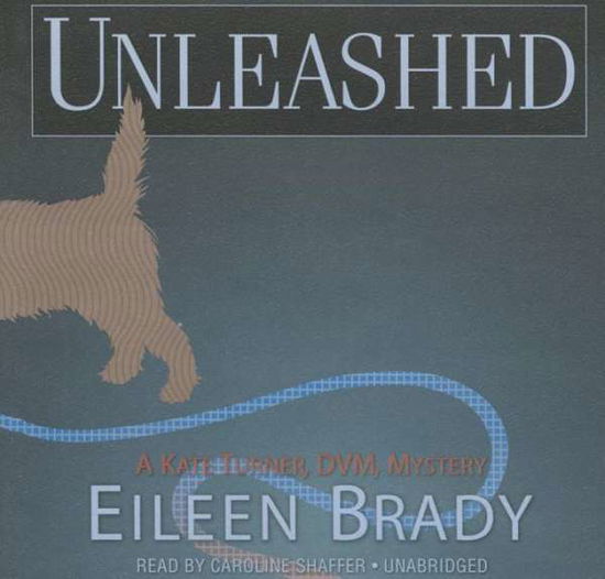 Cover for Eileen Brady · Unleashed (CD) (2015)