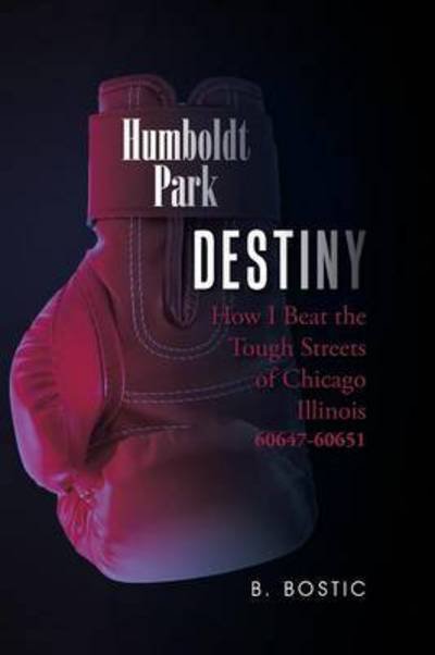 Cover for B Bostic · Destiny: How I Beat the Tough Streets of Chicago Illinois 60647-60651 (Paperback Bog) (2015)