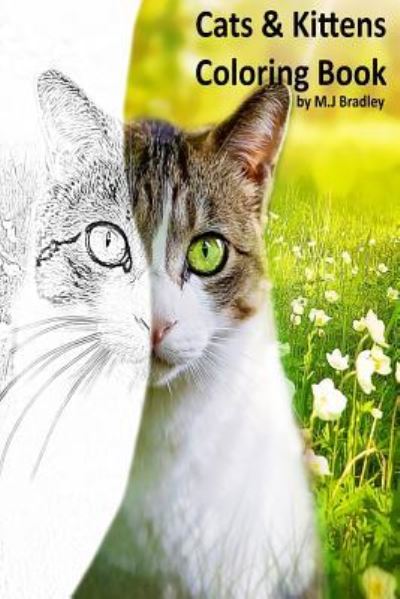 Cats & Kittens - M J Bradley - Books - Createspace Independent Publishing Platf - 9781530030736 - February 13, 2016