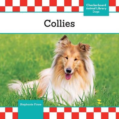 Cover for Stephanie Finne · Collies (Dogs Set 12) (Hardcover Book) (2015)