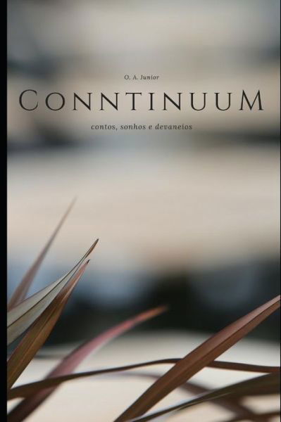 Cover for Osni Carlos de Andrade Junior · Conntinuum (Paperback Book) (2018)