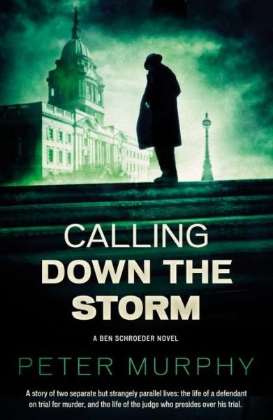Cover for Peter Murphy · Calling Down the Storm (Taschenbuch) (2017)