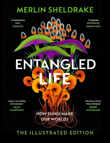 Entangled Life - Merlin Sheldrake - Boeken - Vintage Publishing - 9781847927736 - 2 november 2023