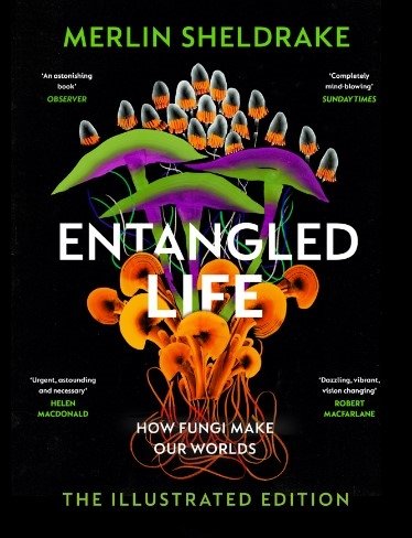 Cover for Merlin Sheldrake · Entangled Life: How Fungi Make Our Worlds, Change Our Minds and Shape Our Futures - The Illustrated Edition (Hardcover Book) (2023)