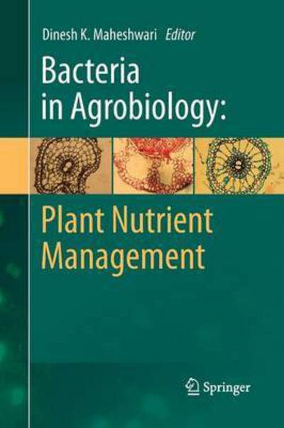 Cover for Dinesh K Maheshwari · Bacteria in Agrobiology: Plant Nutrient Management (Paperback Book) [2011 edition] (2014)