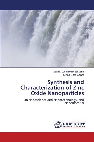 Cover for Girma Goro Gonfa · Synthesis and Characterization of Zinc Oxide Nanoparticles: on Nanoscience and Nanotechnology, and  Nanomaterial (Taschenbuch) (2013)