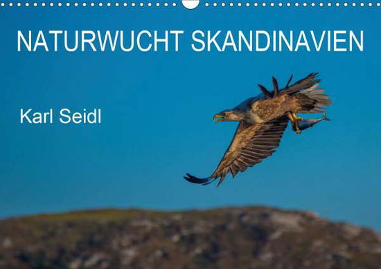 Cover for Seidl · Naturwucht Skandinavien (Wandkale (Book)