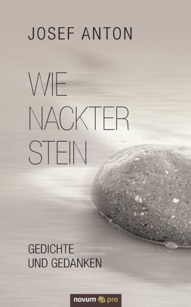 Cover for Anton · Wie nackter Stein (Book) (2018)