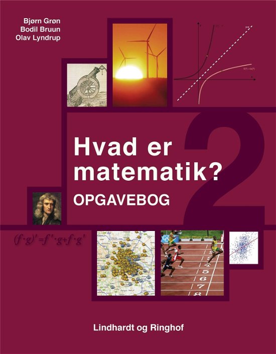 Cover for Bjørn Grøn; Bodil Bruun; Olav Lyndrup · Hvad er matematik: Hvad er matematik? 2, Opgavebog, eBog+ (Bog) [1. udgave] (2019)