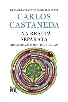 Cover for Carlos Castaneda · Una Realta Separata. Nuove Conversazioni Con Don Juan (Book)
