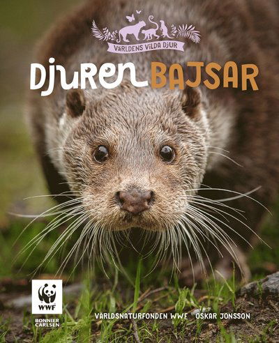 Cover for Världsnaturfonden WWF · Djuren bajsar (Hardcover Book) (2024)