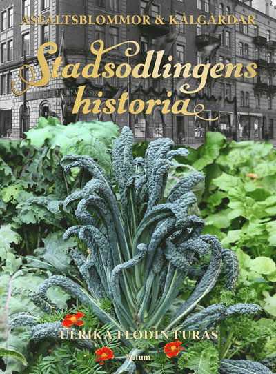 Cover for Ulrika Flodin Furås · Stadsodlingens historia : kålgårdar, kolonier &amp; asfaltsblommor (Bound Book) (2019)