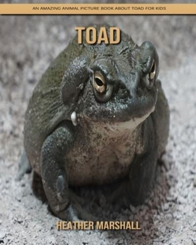 Cover for Heather Marshall · Toad: An Amazing Animal Picture Book about Toad for Kids (Paperback Book) (2021)