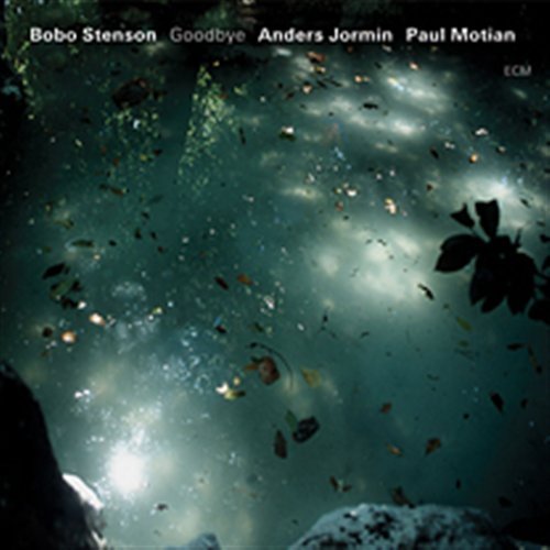 Cover for Stenson Bobo · Goodbye (CD) (2005)