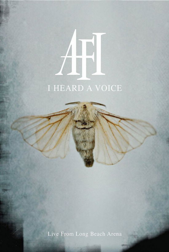 Cover for A.f.i. · I HEARD A VOICE (Live From Long Beach Arena) (DVD) (2007)