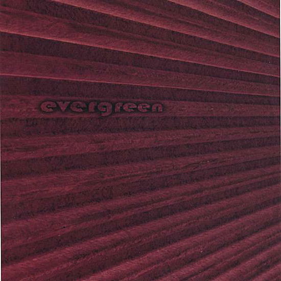 Cover for Evergreen · This Brainstorm is Now a Flood (CD) (2006)