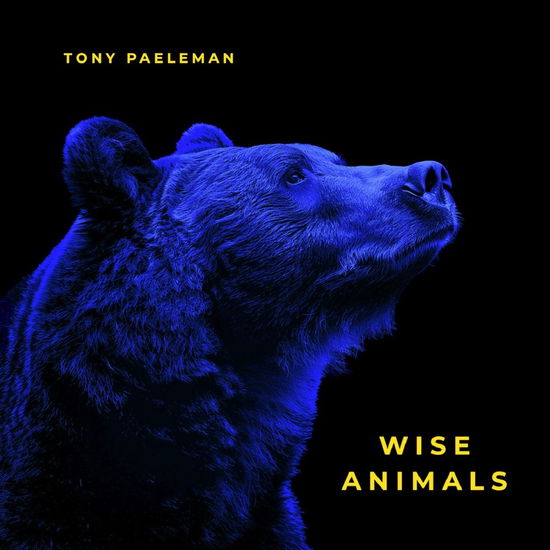 Cover for Tony Paeleman · Wise Animals (CD) (2024)