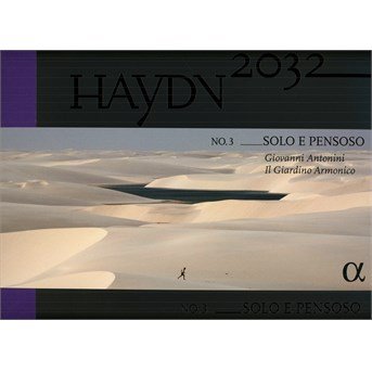 Cover for J. Haydn · Solo E Pensoso Vol.3 (LP) (2016)