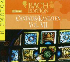 Bach Edition Vol. 14 - Cantatas Vol.vii - Aa Vv - Musik - BRILLIANT CLASSICS - 5028421993737 - 2005