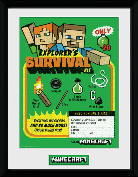 Cover for Minecraft · Minecraft: Survival Kit (Stampa In Cornice 30x40cm) (MERCH)