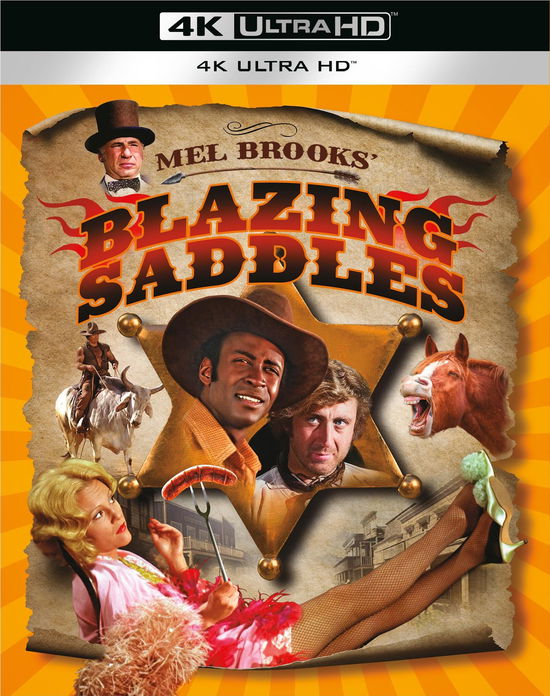 Blazing Saddles - - Filmes - WARNER BROTHERS - 5051892249737 - 18 de novembro de 2024