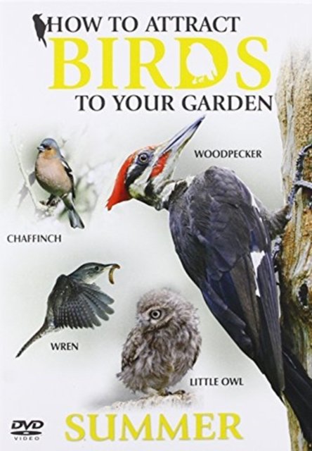 Cover for How To Attract Birds · How To Attract Birds To Your Garden Summ (CD) (2011)