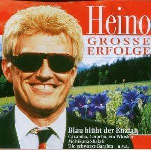 Cover for Heino · Grosse Erfolge (CD) (2011)