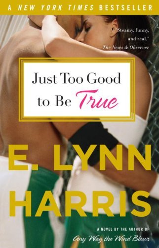 Cover for E. Lynn Harris · Just Too Good to Be True: a Novel (Taschenbuch) [Reprint edition] (2009)